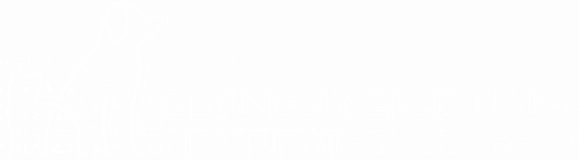 Blanco Veterinary Hospital